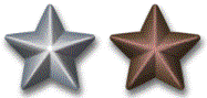 Silver and Bronze Service Stars.PNG